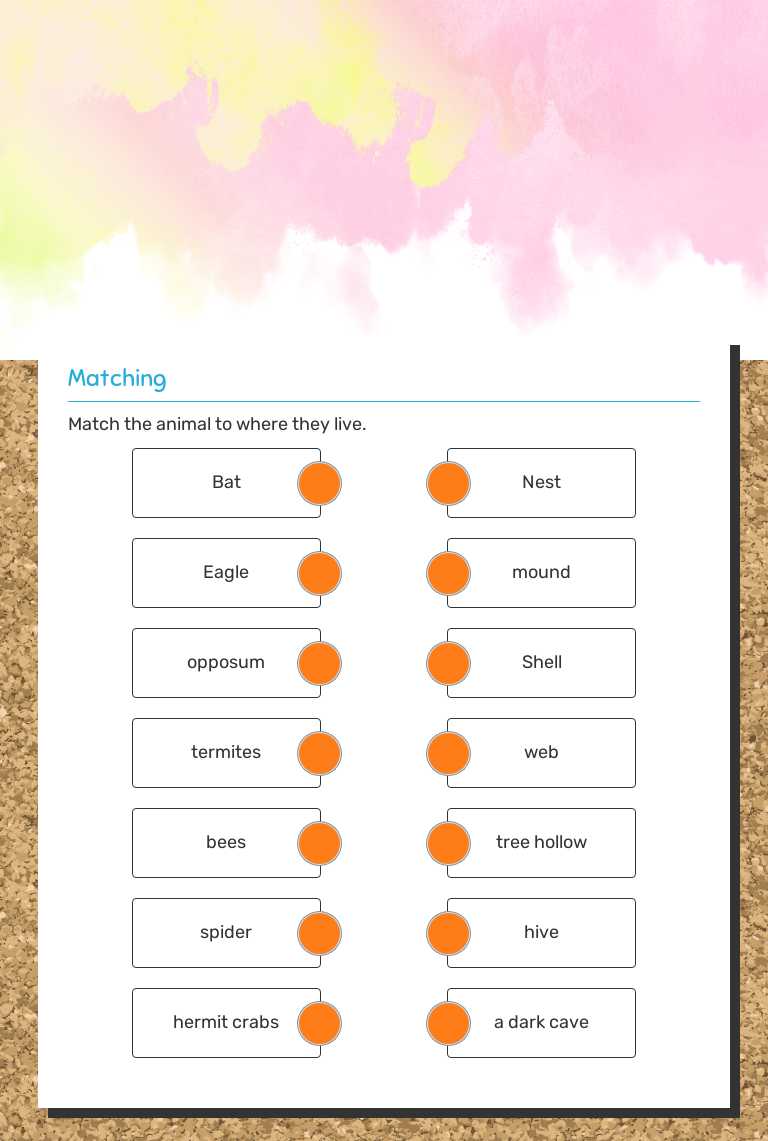 Animal Homes worksheet preview image