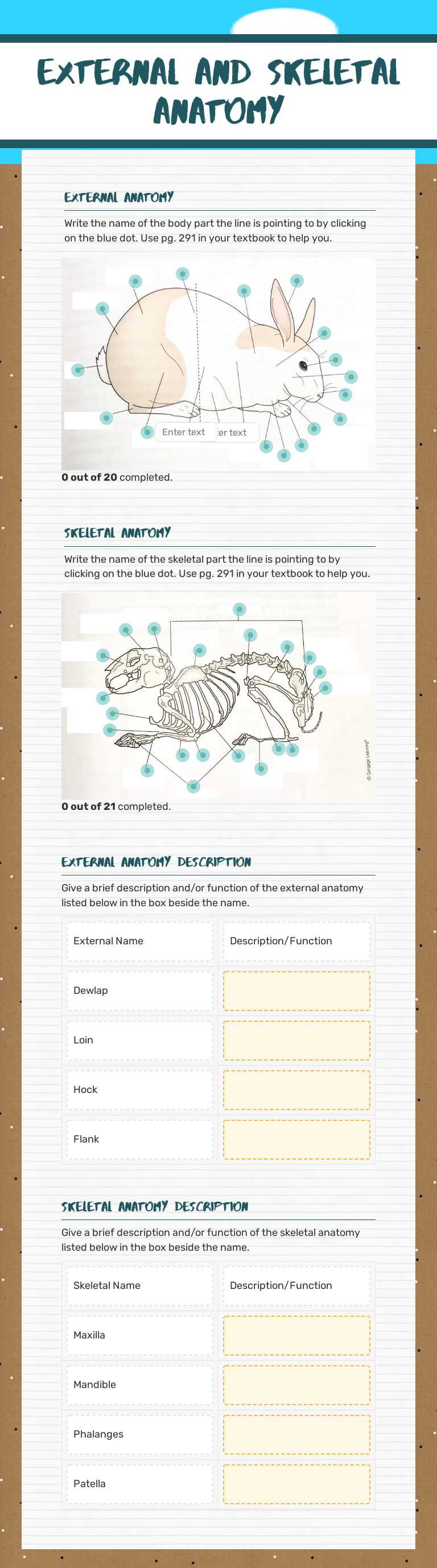 External and 
Skeletal Anatomy Grade 10 worksheet preview