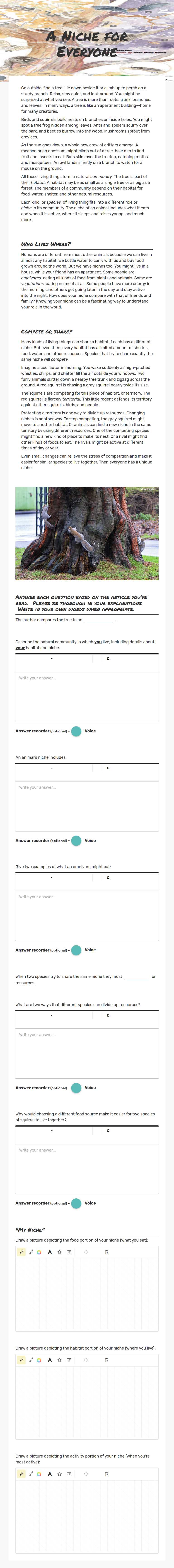 A Niche for Everyone worksheet preview image