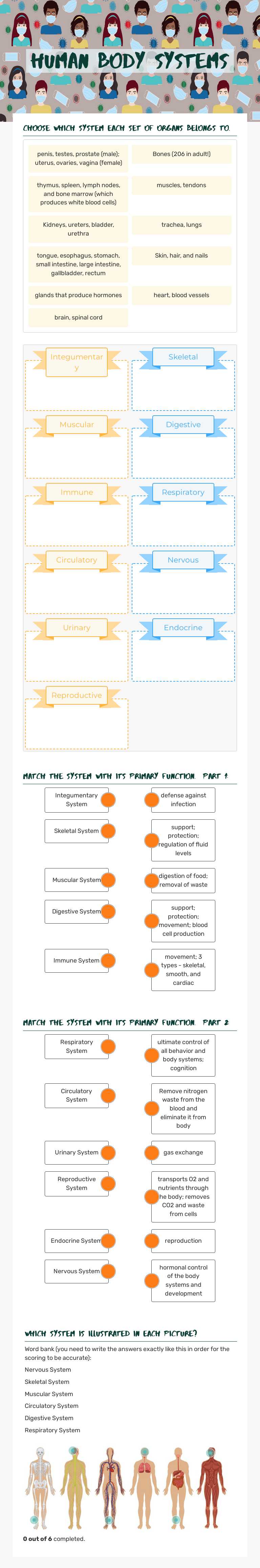 Human Body systems Grade 10 worksheet preview