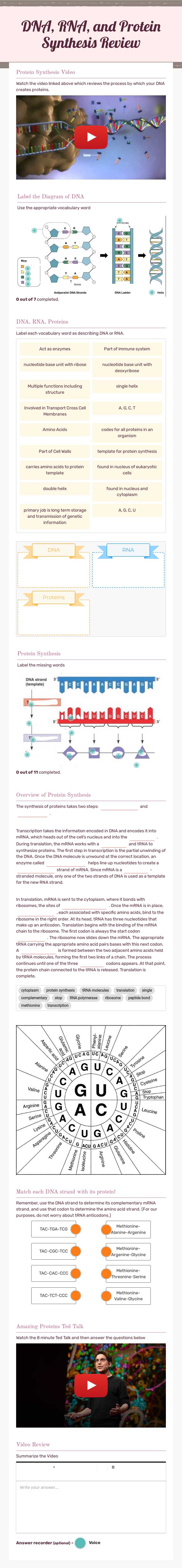 DNA, RNA, and Protein Synthesis
Review worksheet preview image