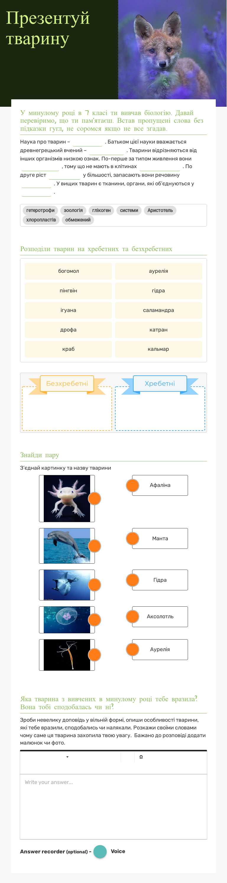 Презентуй тварину worksheet preview image