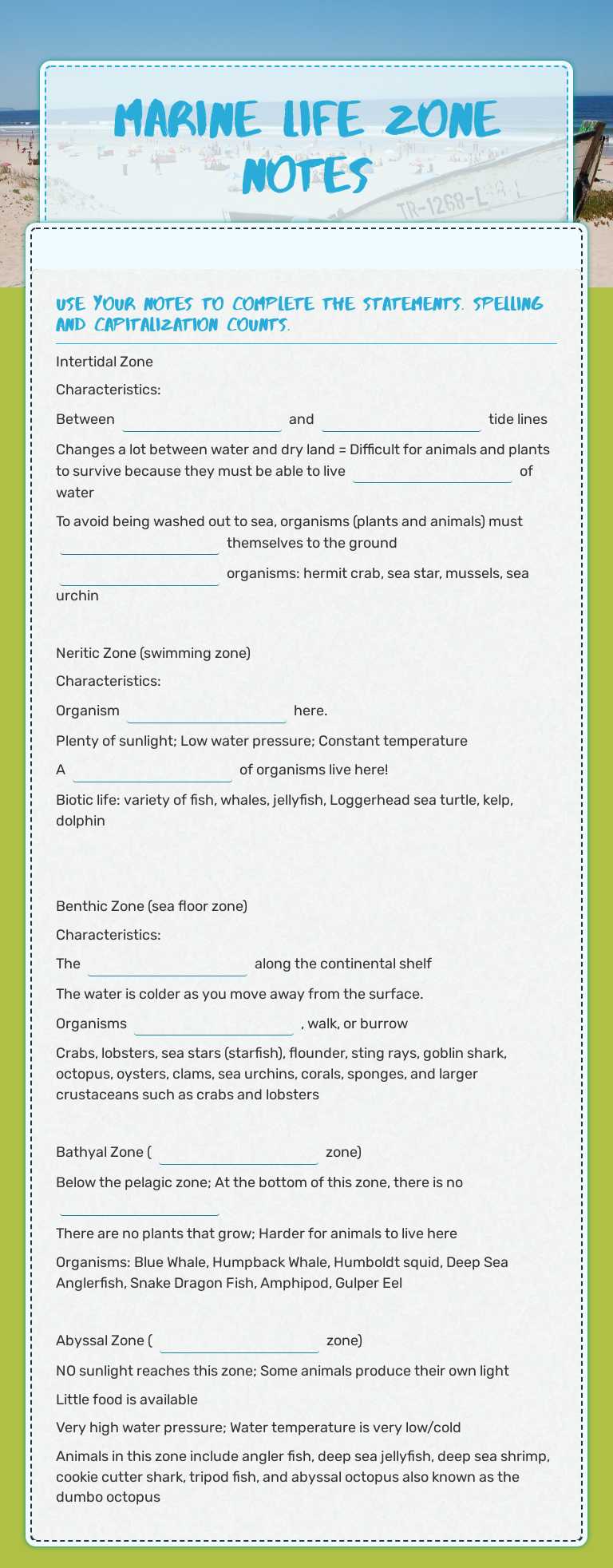 MARINE LIFE ZONE NOTES Grade 7 worksheet preview