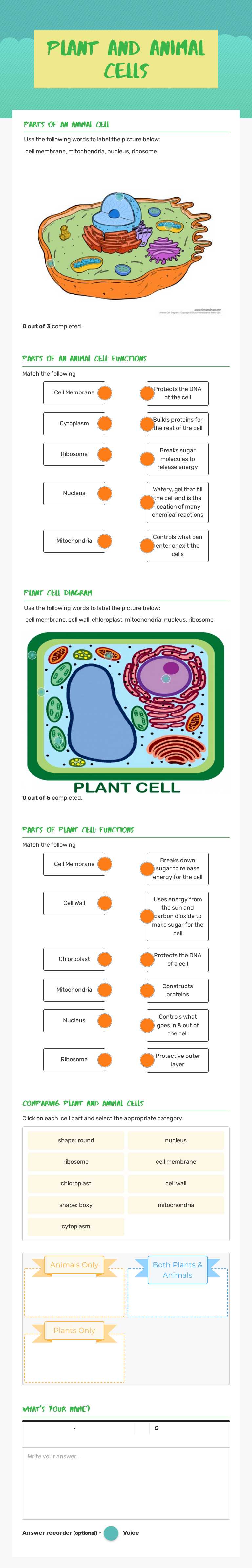 Plant and Animal Cells Grade 7 worksheet preview