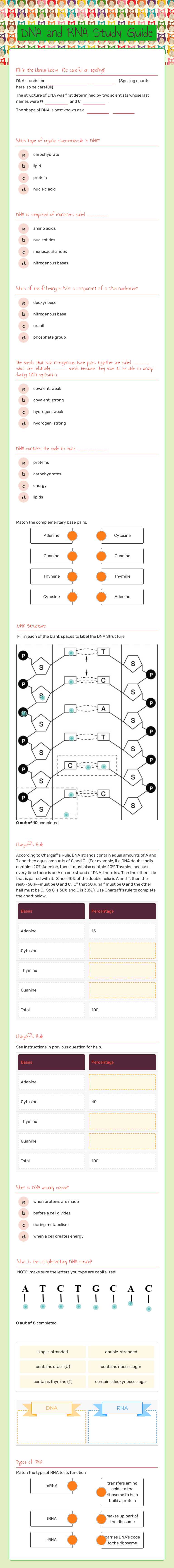 DNA and RNA     Study Guide worksheet preview image