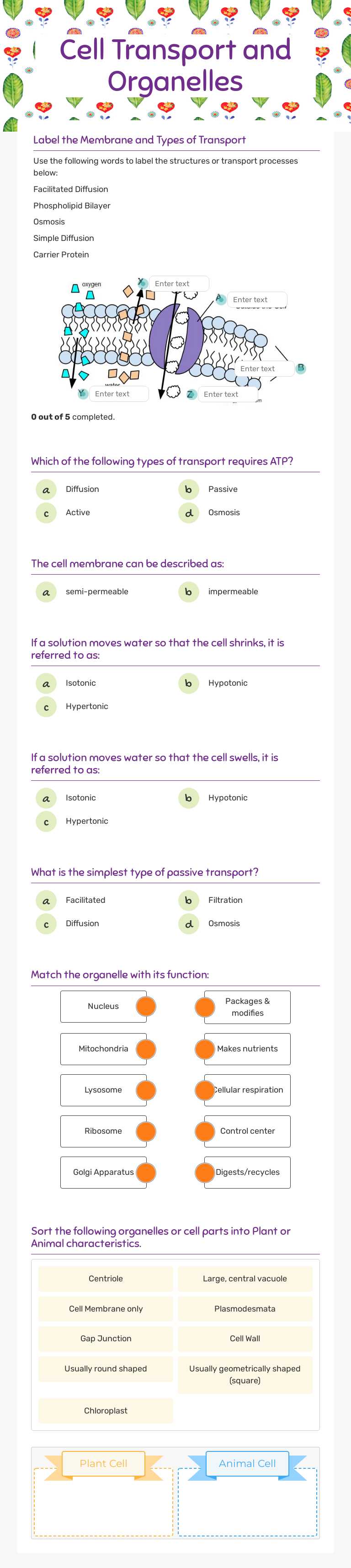Cell Transport and Organelles worksheet preview image