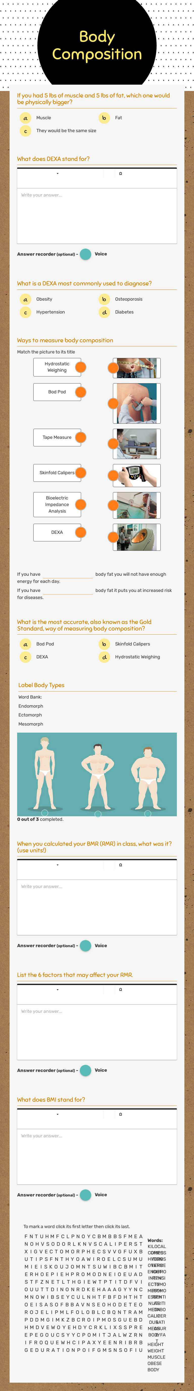 Body Composition worksheet preview