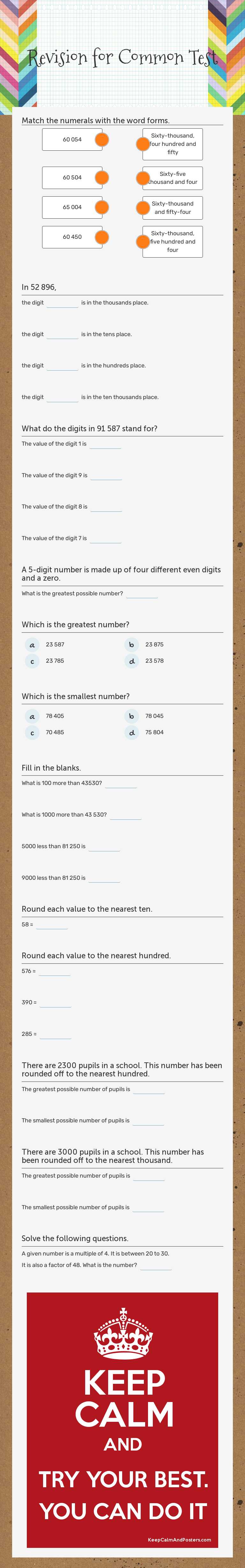 Revision for Common Test worksheet preview image