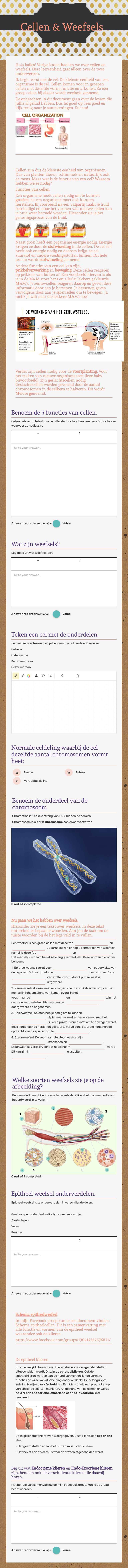 Cellen & Weefsels worksheet preview