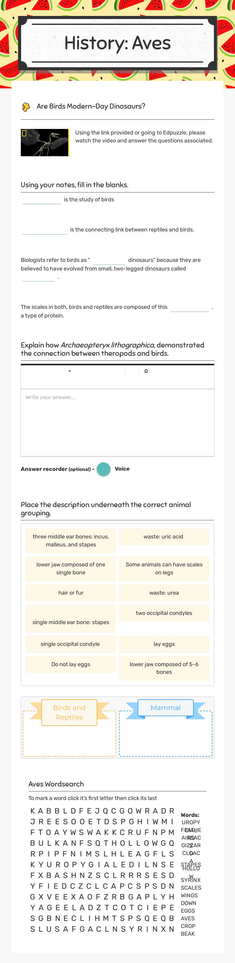 History: Aves Grade 10 worksheet preview
