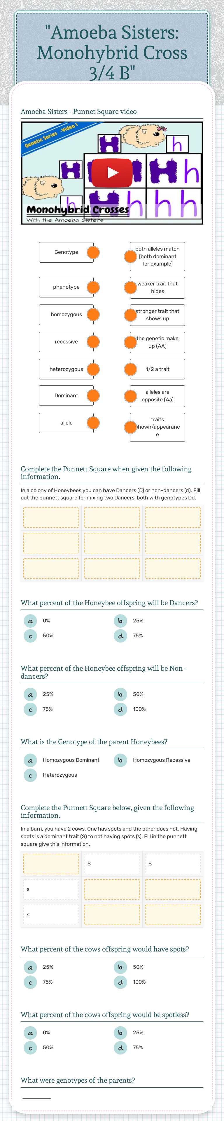 "Amoeba Sisters: Monohybrid Cross 3/4 B" worksheet preview image