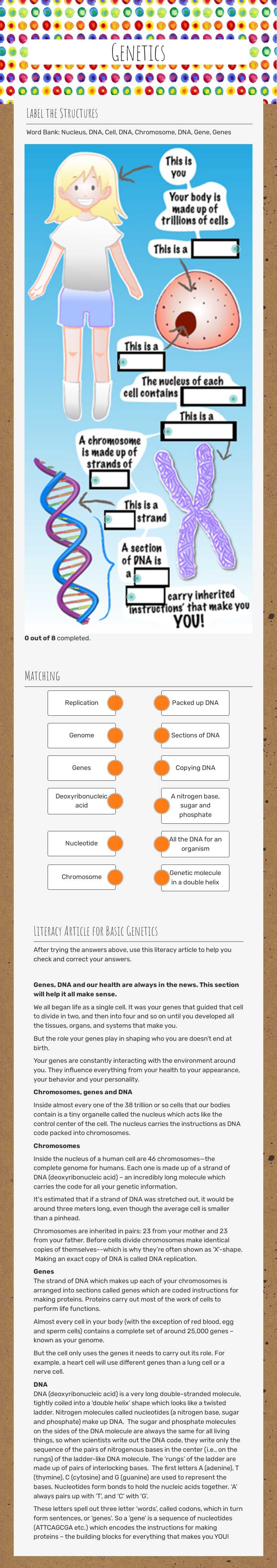 Genetics worksheet preview image
