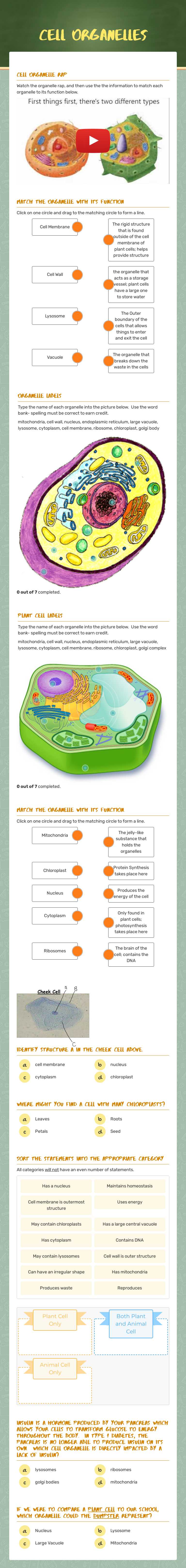 Cell Organelles worksheet preview