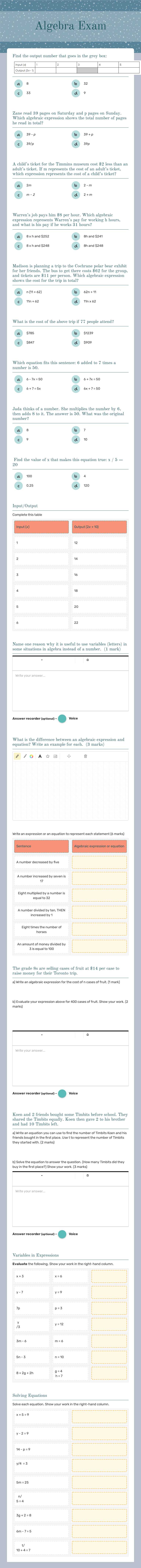 Algebra Exam worksheet preview image