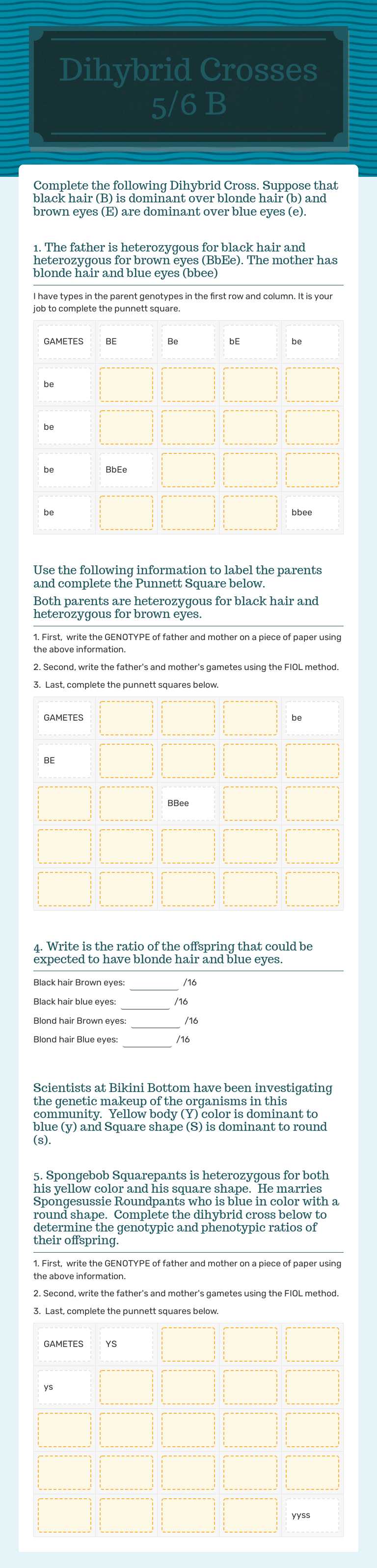 Dihybrid Crosses 5/6 B worksheet preview image