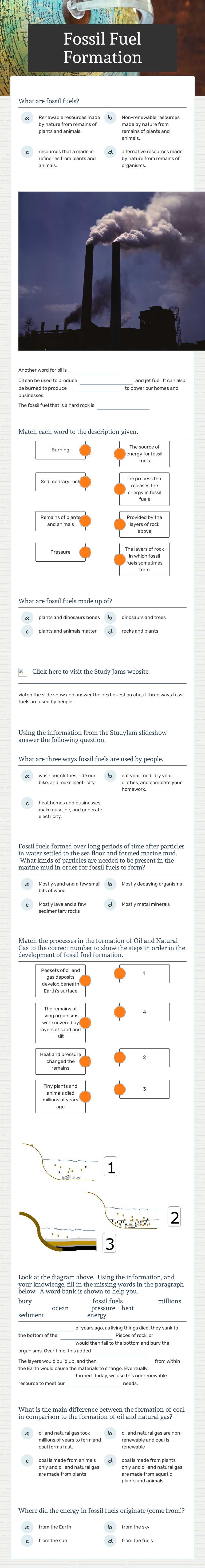 Fossil Fuel Formation worksheet preview image