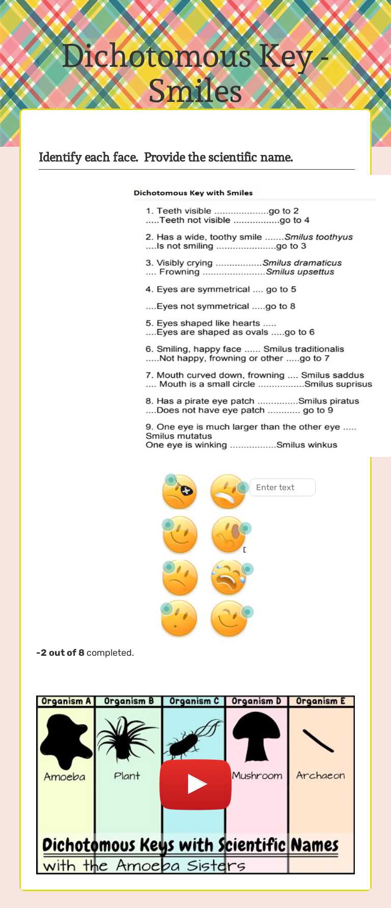 Dichotomous Key - Smiles worksheet preview image