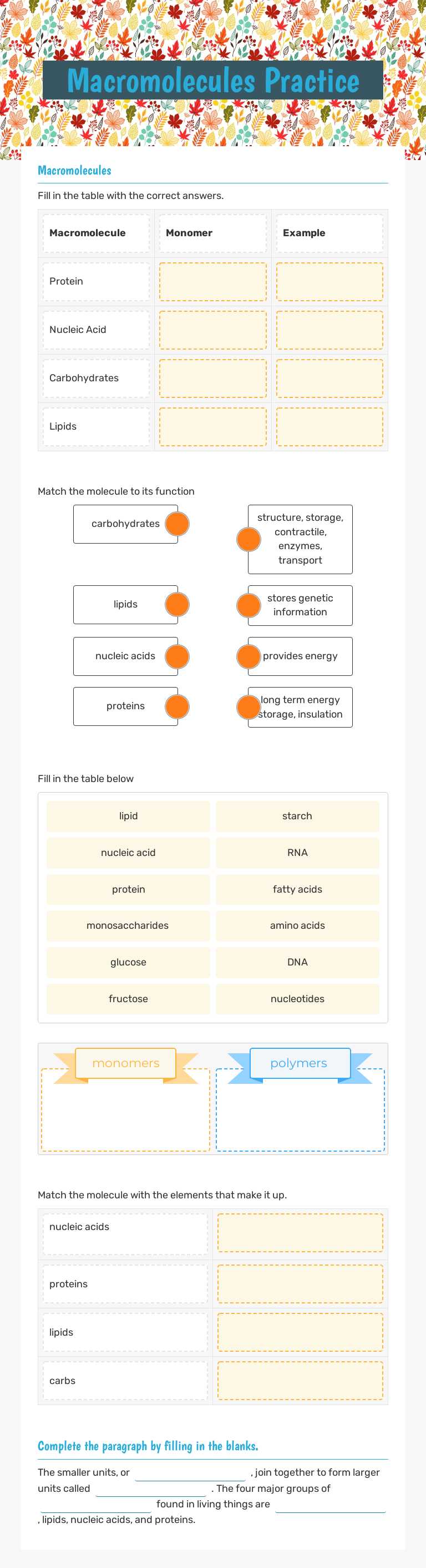 Macromolecules Practice worksheet preview image