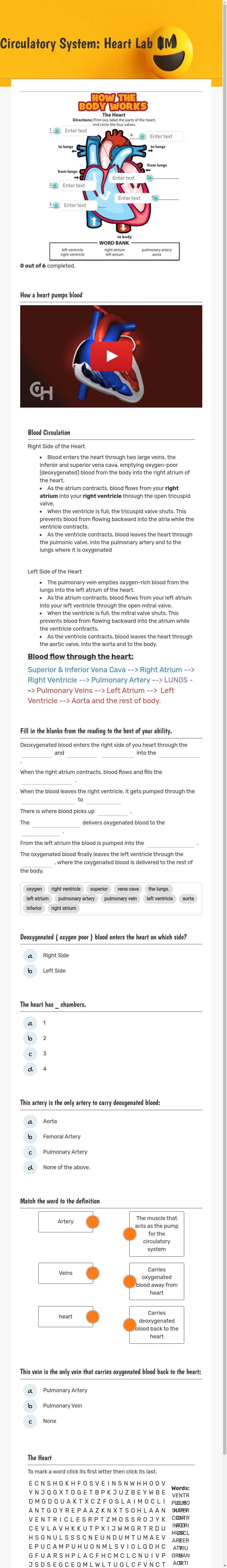 Circulatory System: Heart Lab HM worksheet preview image
