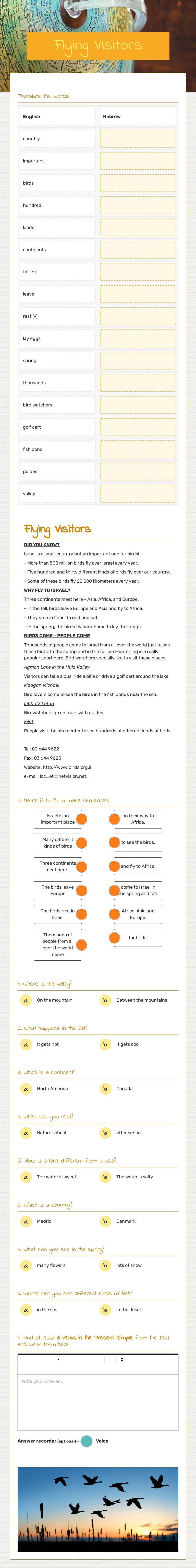 Flying Visitors worksheet preview image