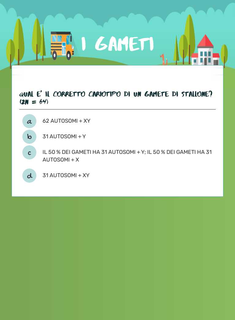 I GAMETI worksheet preview image