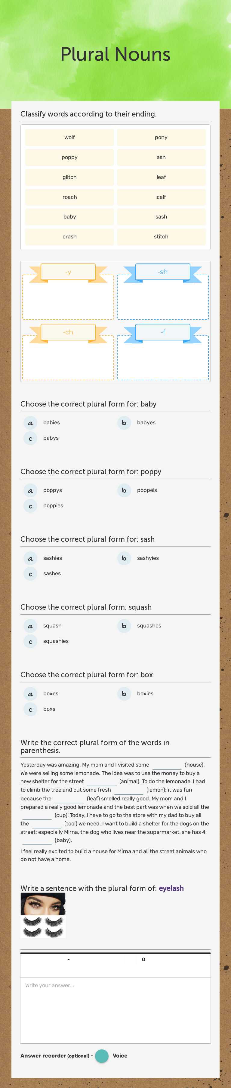 Plural Nouns Grade 2 worksheet preview