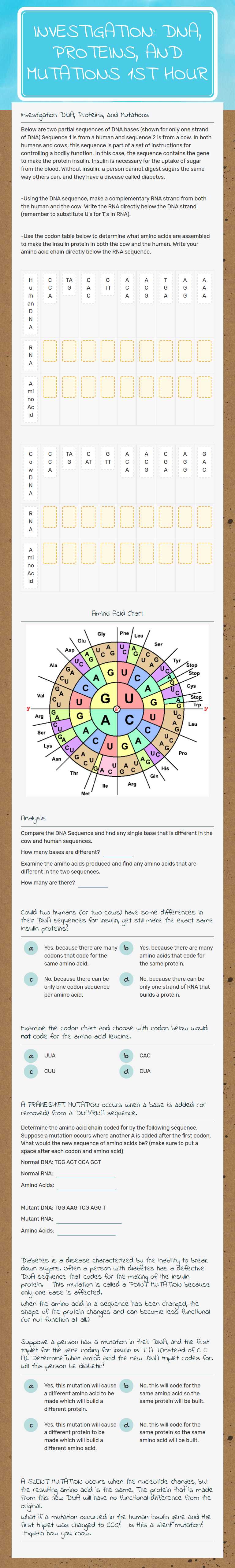 Investigation: DNA, Proteins, and Mutations 1st Hour worksheet preview image