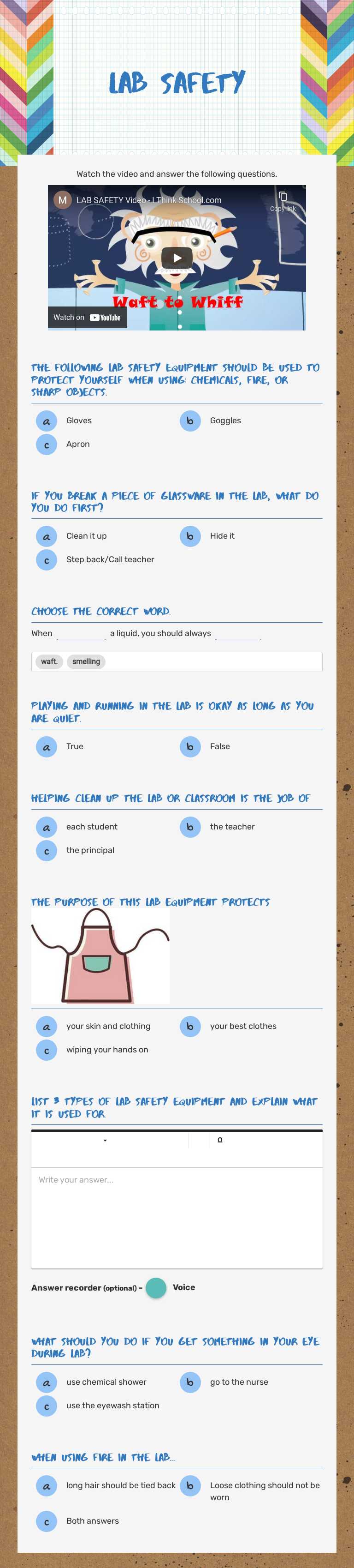 Lab Safety worksheet preview image