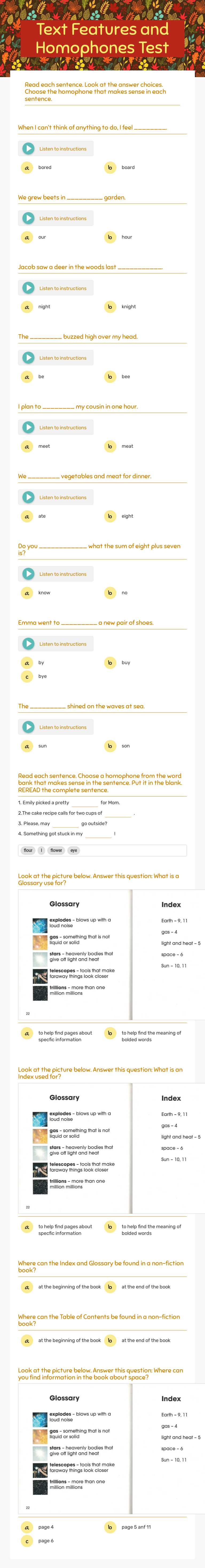 Text Features and Homophones Test worksheet preview image