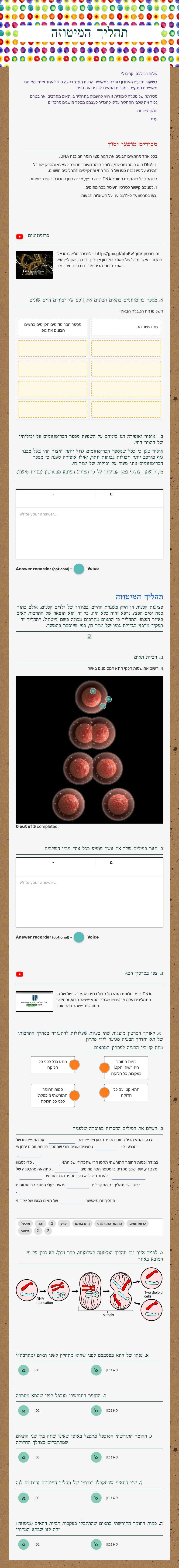 תהליך המיטוזה worksheet preview image