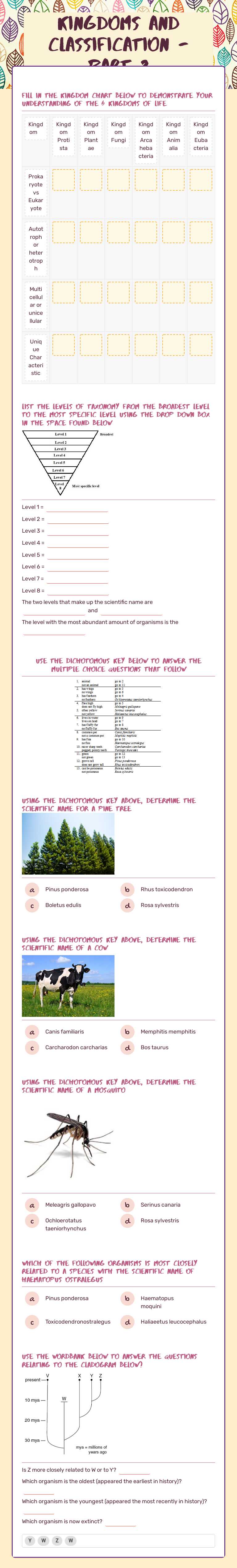 Kingdoms and Classification - Part 2 worksheet preview image