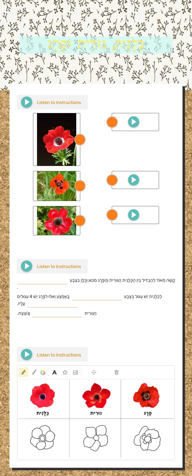 כַּלָּנִית, נוּרִית וּפָרָג worksheet preview image