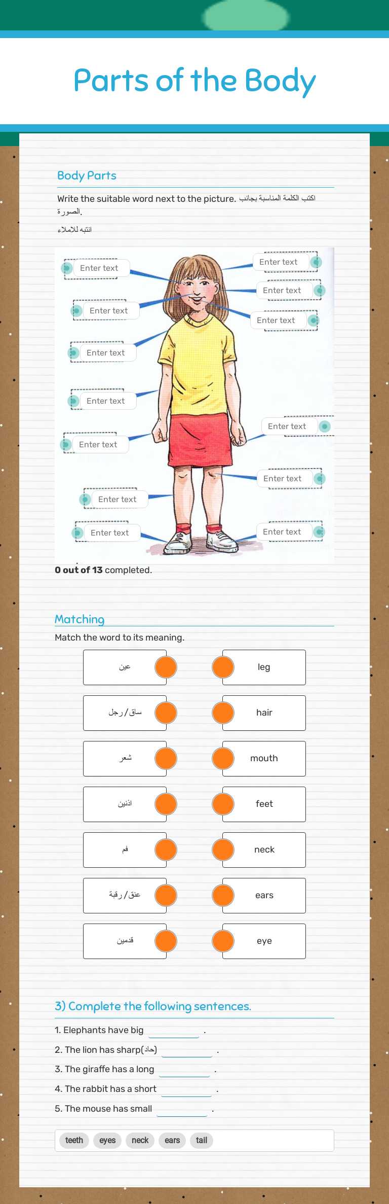 Parts of the Body worksheet preview image