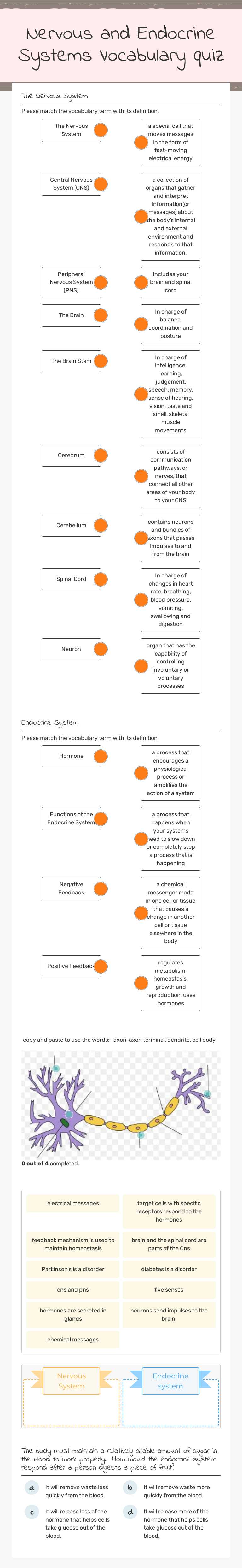 Nervous and Endocrine Systems Vocabulary quiz Grade 6 worksheet preview