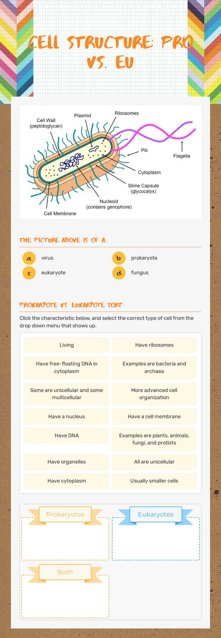 Cell Structure:            Pro vs. Eu worksheet preview image