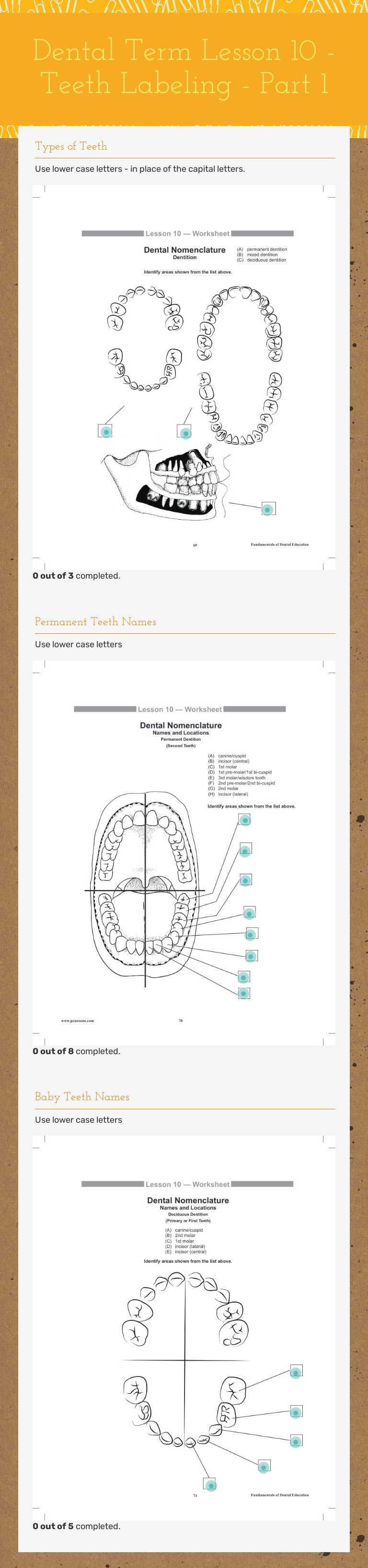 Dental Term Lesson 10 - 
Teeth Labeling -  
Part 1 worksheet preview image