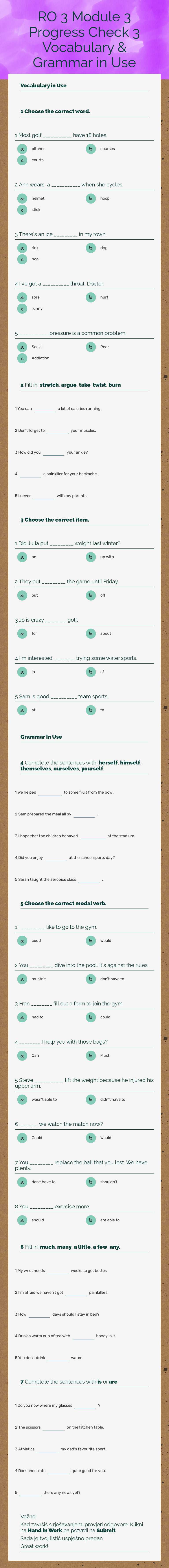 RO 3 Module 3            
 Progress Check 3  
Vocabulary & Grammar in Use worksheet preview image