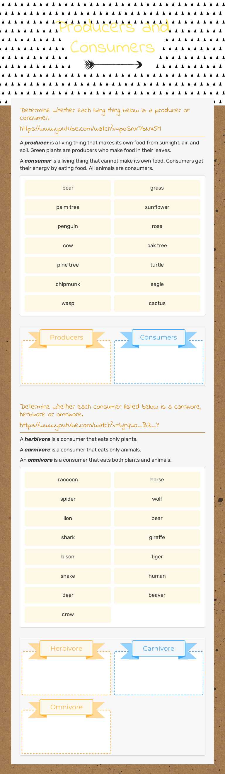 Producers and Consumers worksheet preview image