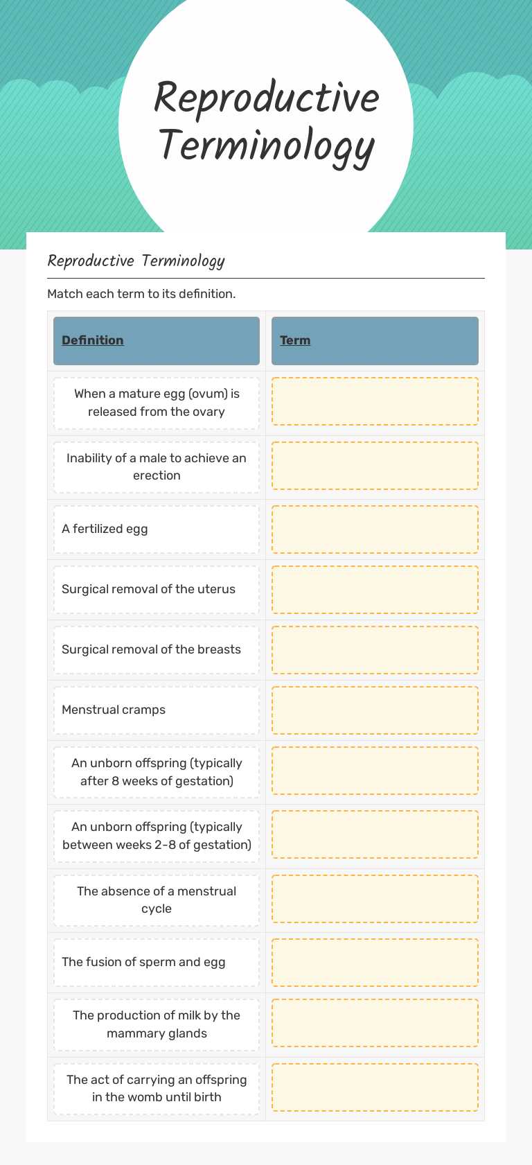 Reproductive Terminology worksheet preview image