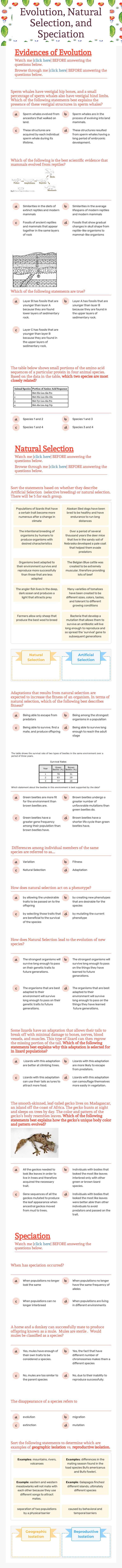 Evolution, Natural Selection, and Speciation Grade 10 worksheet preview