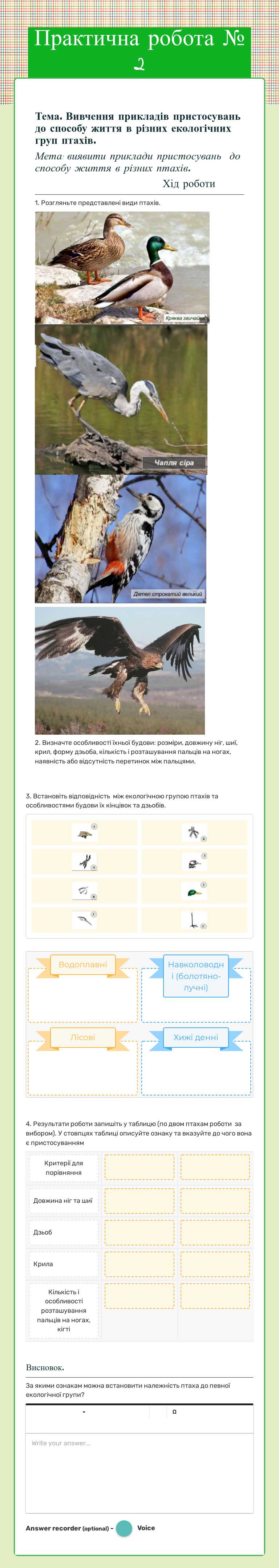 Практична робота № 2 Grade 7 worksheet preview