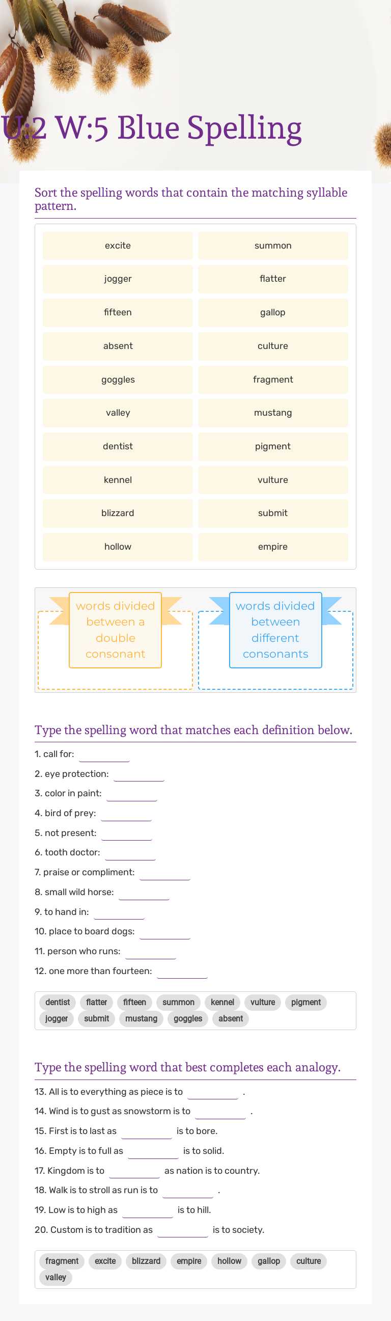 U:2 W:5 Blue Spelling worksheet preview image