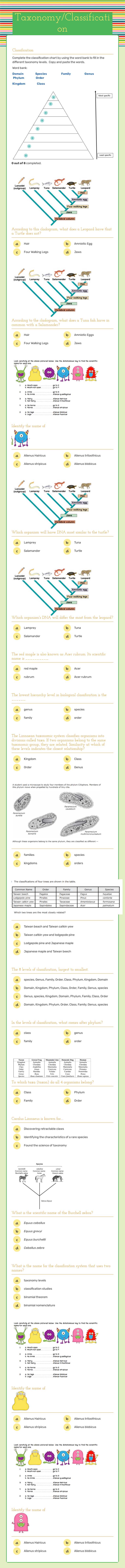 Taxonomy/Classification worksheet preview image