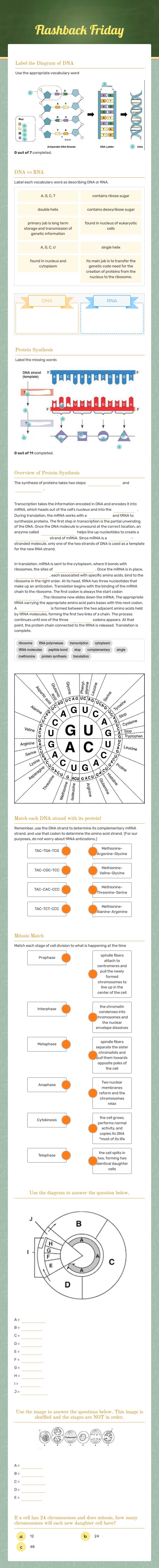 Flashback Friday worksheet preview image