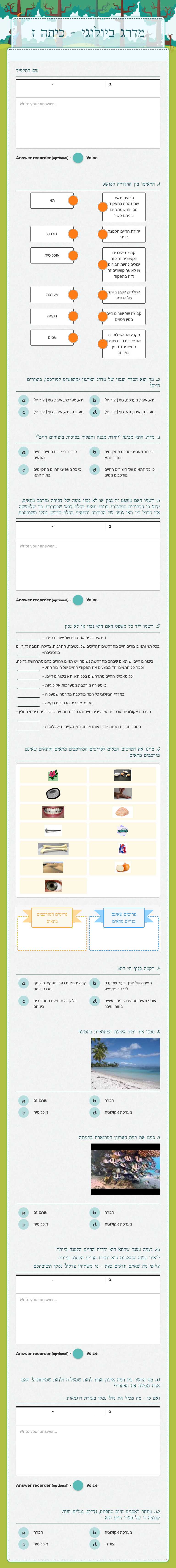 מדרג ביולוגי  - כיתה ז worksheet preview image