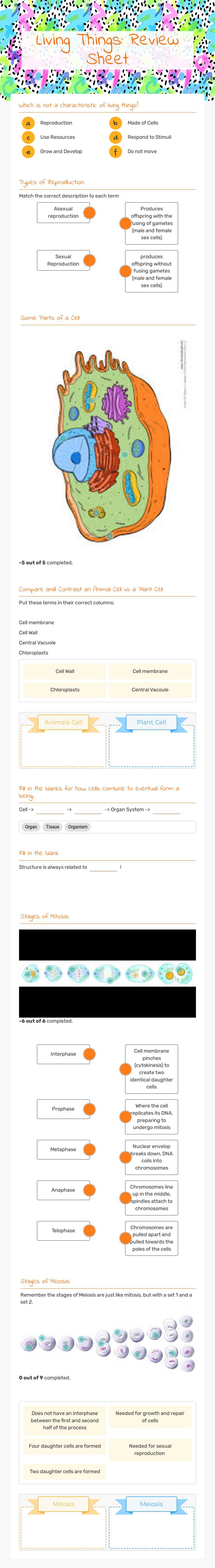 Living Things: Review Sheet worksheet preview image