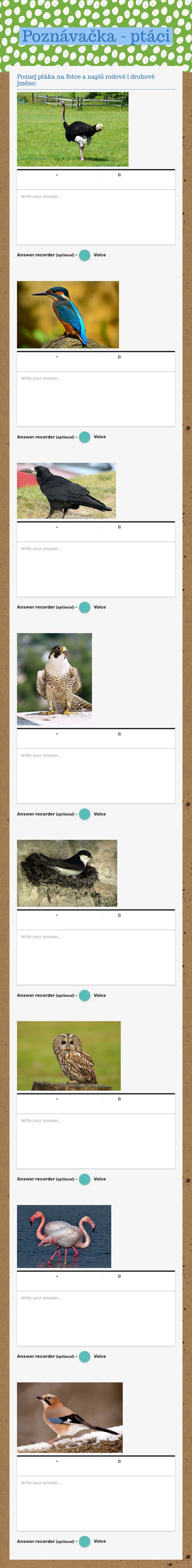 Poznávačka - ptáci worksheet preview image