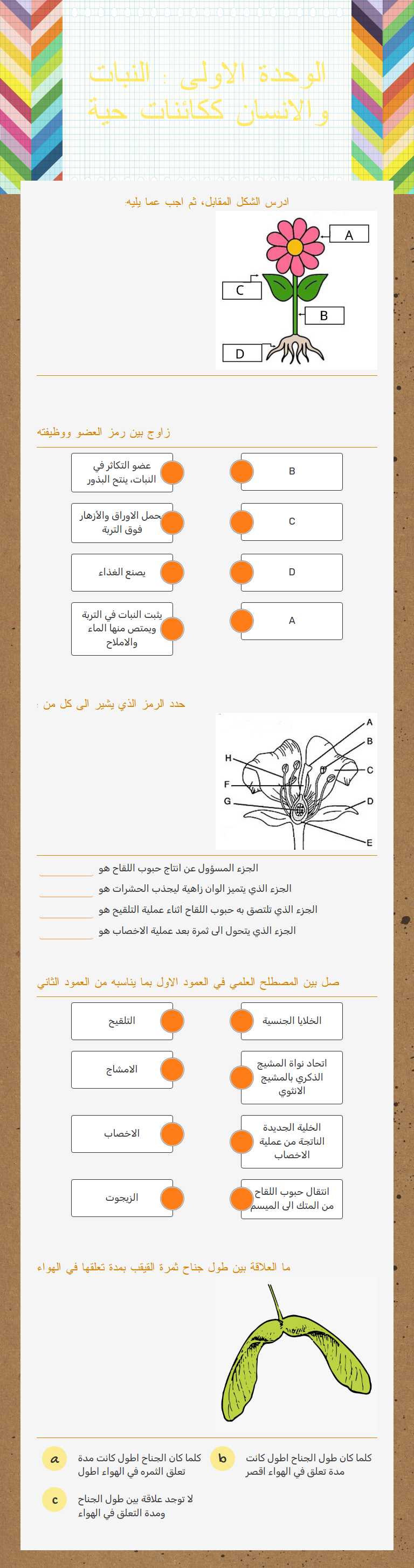 الوحدة الاولى : النبات والانسان ككائنات حية worksheet preview image