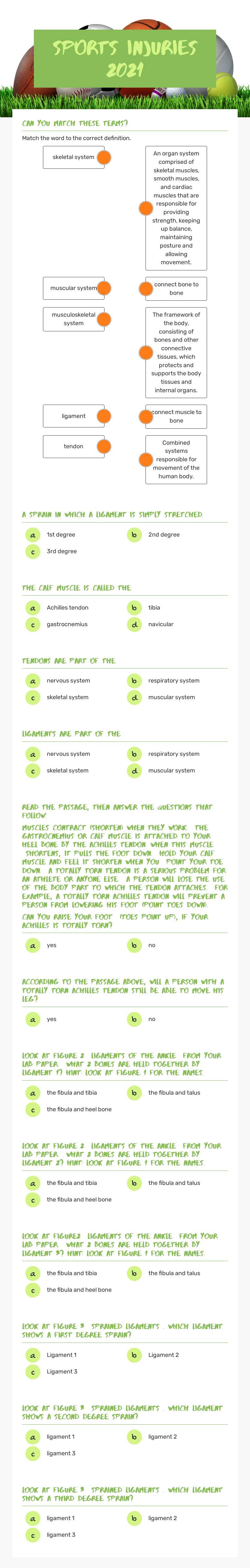 Sports Injuries 2021 worksheet preview image