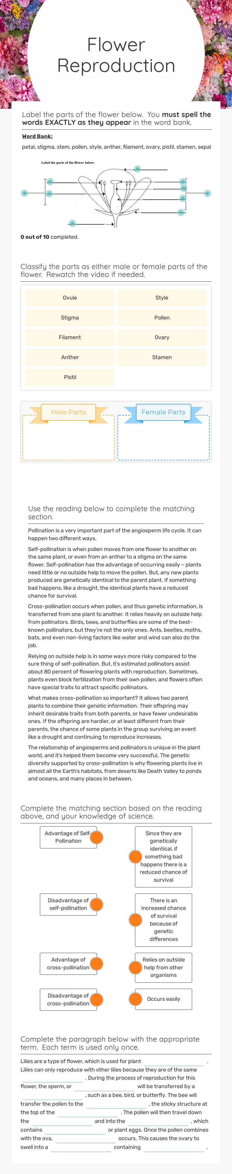 Flower 
Reproduction worksheet preview image